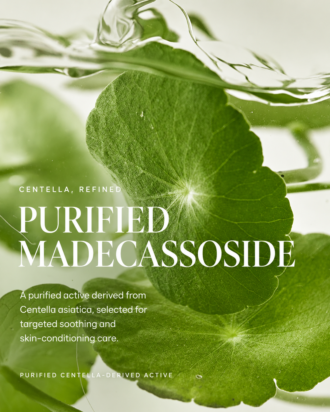 Purified Madecassoside derived from Centella asiatica for soothing and skin-conditioning care in 28N B² Centella Hydration Booster